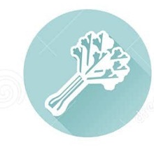 Celery